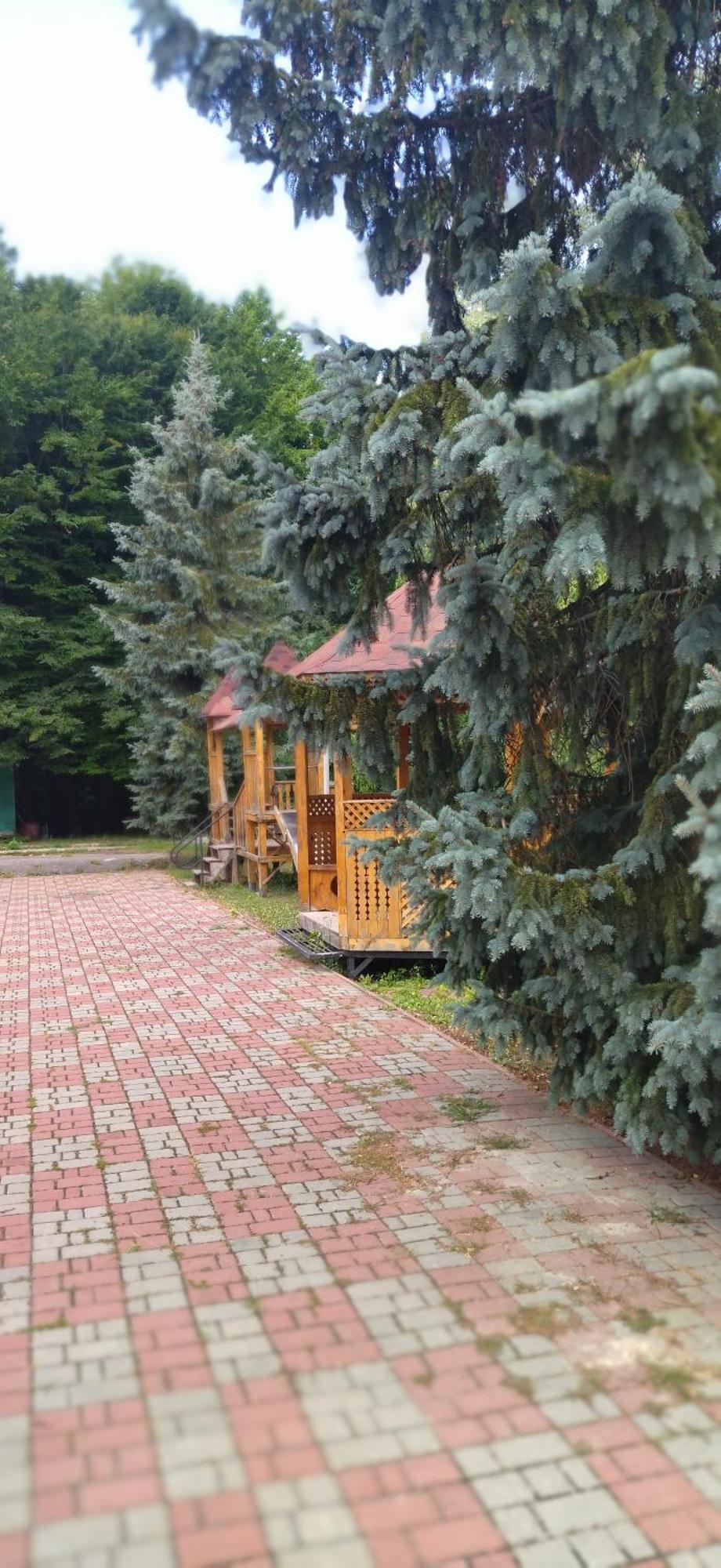 Санаторій Збруч Hotel Sataniv Bagian luar foto